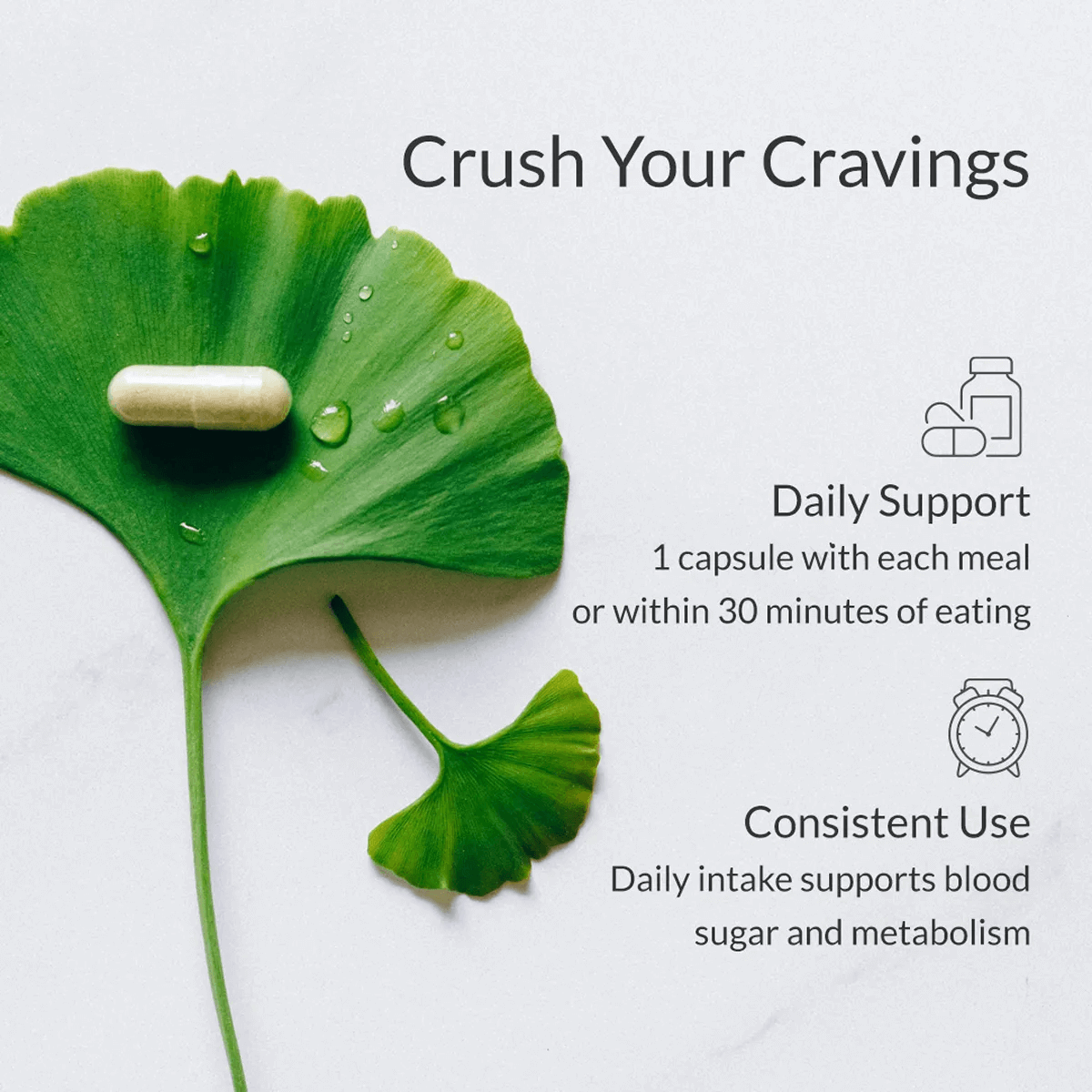 Blood sugar support complex - BIOptimizers Australia