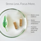 Stress management capsules - Stress Breakthrough by BIOptimizers