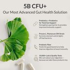 BIOptimizers Australia P3OM Benefits